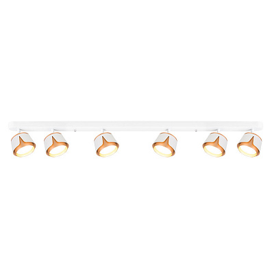 Спот потолочный ARTE LAMP AMAKS A8028PL-6WH
