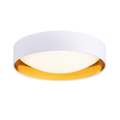 Потолочный светильник EVOLUCE ОРБИО SLE201122-01