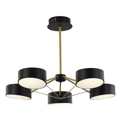 Люстра на штанге EVOLUCE VALLE / ВАЛЛЕ SLE6005-402-05
