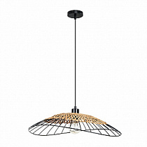 Подвесная люстра ARTE LAMP WOODSTOCK A7061SP-1BK
