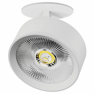 Спот потолочный Lightstar Alta Pro A5746RS